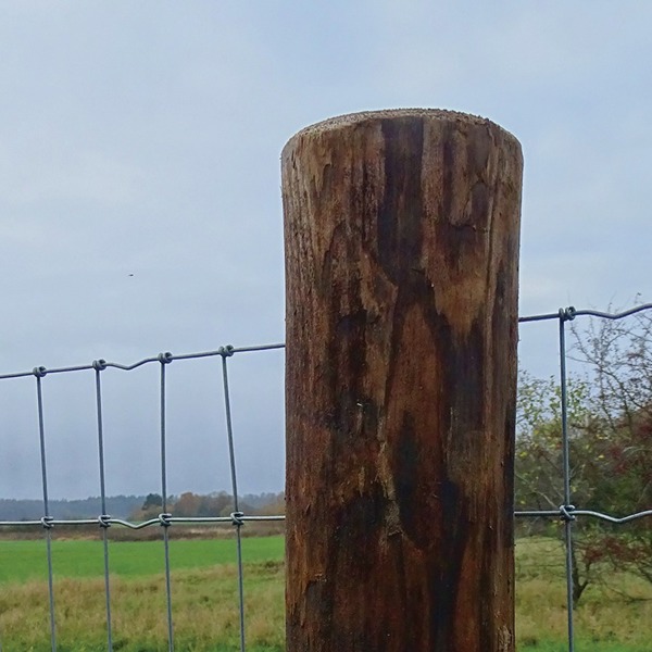 Nærbilde av en FaunaWood-stolpe med montert nettinggjerde.