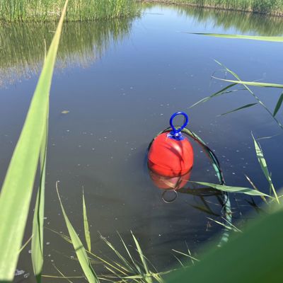 Rødt flytende vanninntaksfilter med slange i en bekk omgitt av takrør.