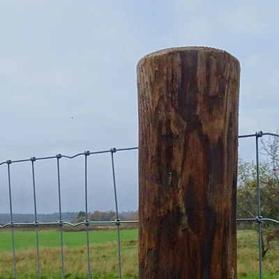 FaunaWood trestolpe med festet nettinggjerde i et åpent landskap.