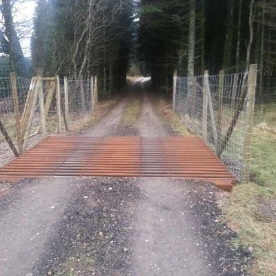 Ferist ved inngangen til en skog