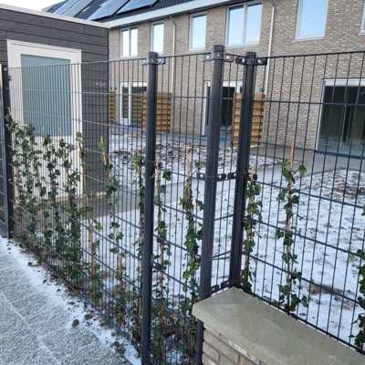 En snødekt hage er omgitt av et vakkert panelgjerde