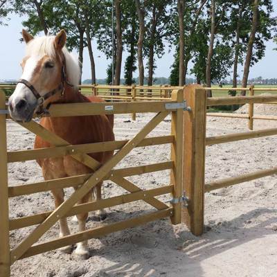 En brun hest står i innhegningen sin og ser ut over en «Country House»-grind