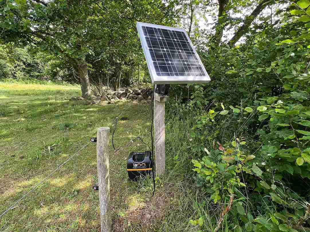 Et solcellepanel koblet til et elektrisk gjerdeapparat ved skogkanten, montert på en stolpe ved et elektrisk gjerde i grønne omgivelser.