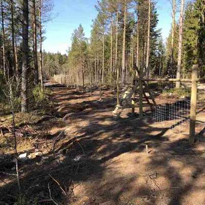 Et skogsgjerde sikrer et skogsområde mot dyreliv og inntrengere.