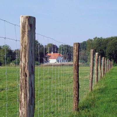Et skogsgjerde sikrer et skogsområde mot dyreliv og inntrengere.