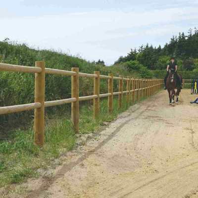 En kvinnelig rytter leder hesten sin rundt på en sprangbane. Ridebanen er omkranset av et tregjerde.