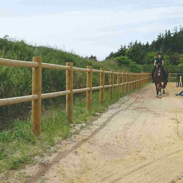 En kvinnelig rytter leder hesten sin rundt på en sprangbane. Ridebanen er omkranset av et tregjerde.