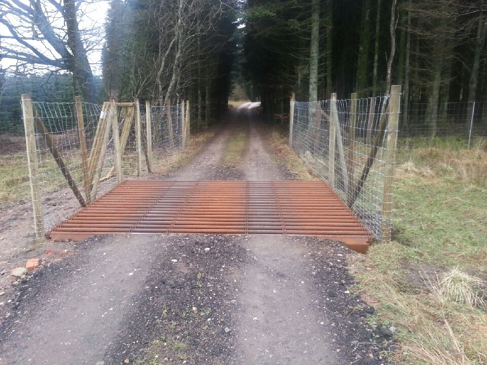 Ferist ved inngangen til en skog