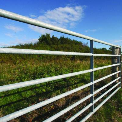 Nærbilde av en stålport montert på et elektrisk gjerde