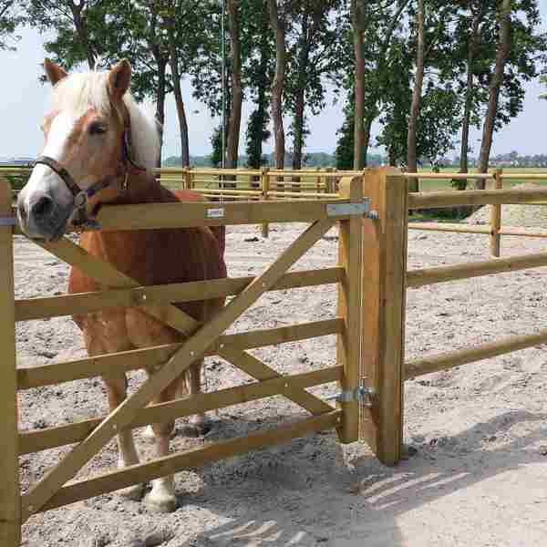 En brun hest står i innhegningen sin og ser ut over en «Country House»-grind