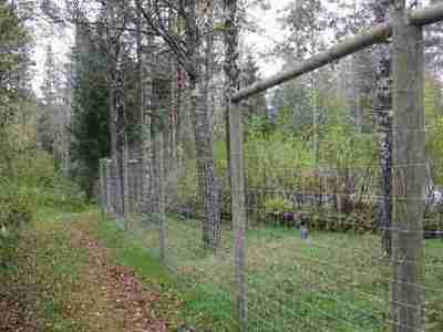 Man ser et skoggjerde som holder viltet inne i skogen