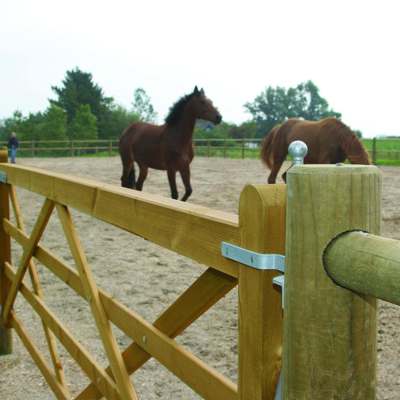 To hester går rundt i innhegningen, som er avsluttet med en Country Farmer-grind