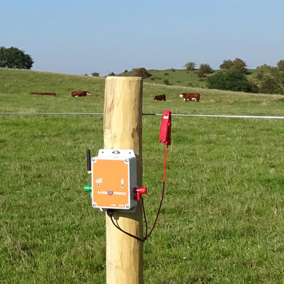 LUDA FenceAlarm montert på en stolpe for overvåking av gjerdspenning på en beitemark med kyr.