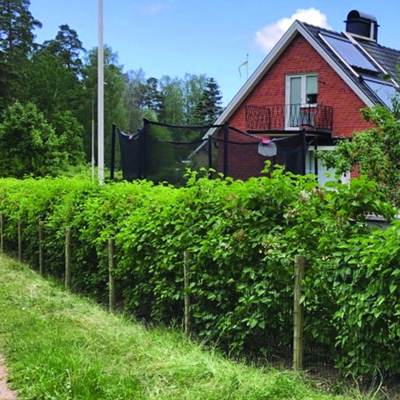 Et Lux hagegjerde omslutter en vakker hage med trampoline, flaggstang og planter