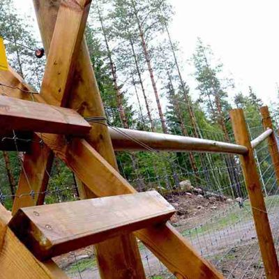 I forgrunnen er det en trapp som gjør det mulig å passere et skogsgjerde.