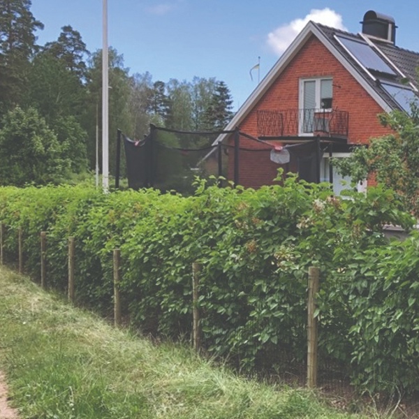 Et Lux hagegjerde omslutter en vakker hage med trampoline, flaggstang og planter