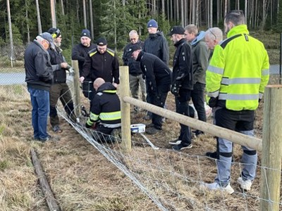 Svenske Poda-sentre samlet til en utendørs opplæringsøkt hvor deltakerne lærer en ny gjerdeteknikk ved et nettinggjerde i skogkanten.
