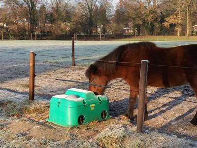 En vintermorgen drikker en hest fra et drikkekar. Hesten står bak et gjerde