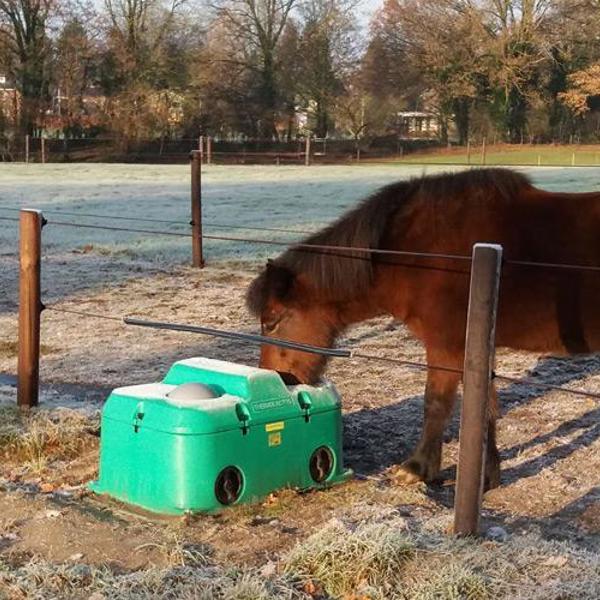 En vintermorgen drikker en hest fra et drikkekar. Hesten står bak et gjerde