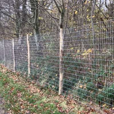 Et grøntområde er beskyttet av et høyt Multinet-gjerde på Robinia-stolper