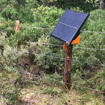 Solcelledrevet spenningsgiver montert på en FaunaWood stolpe i et naturområde.